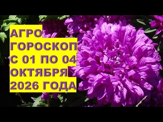 Агрогороскоп с 01 по 04 октября 2026 года. Почему опасно начинать новые дела и проекты?