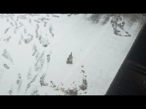 эпичное раздалбывание бутылок на заброшке!!1