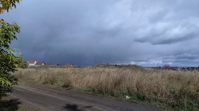 ВЛОГ: НАВЕЛАПОРЯДОК ВО ДВОРЕ  УБРАЛАКАПУСТУВЫКОПАЛАМОРКОВЬПЕРВЫЙСНЕГ