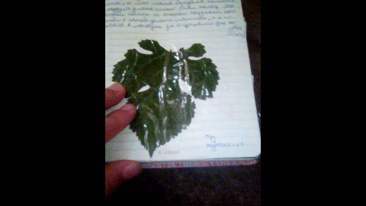 Мой Лд/ My LD #1:)