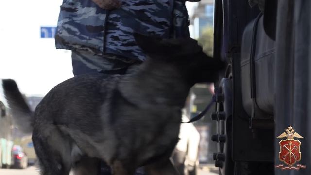 Полиция проверила автотранспорт на крупных магистралях Васильевского острова