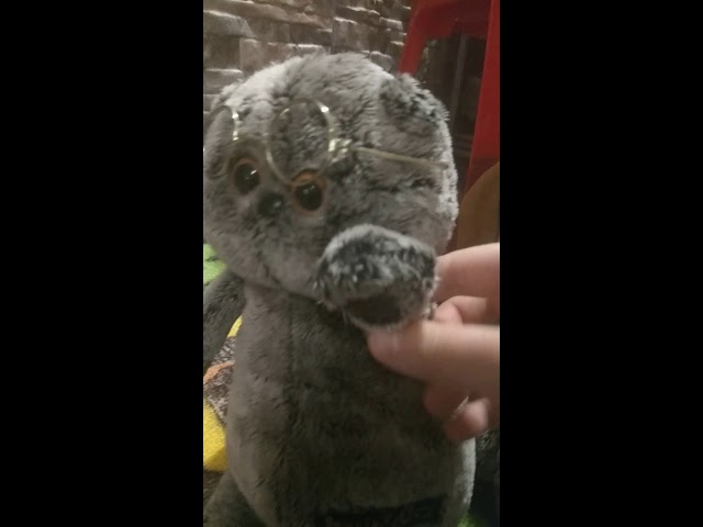 Тютютю.