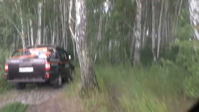 Красивый сибирский лес