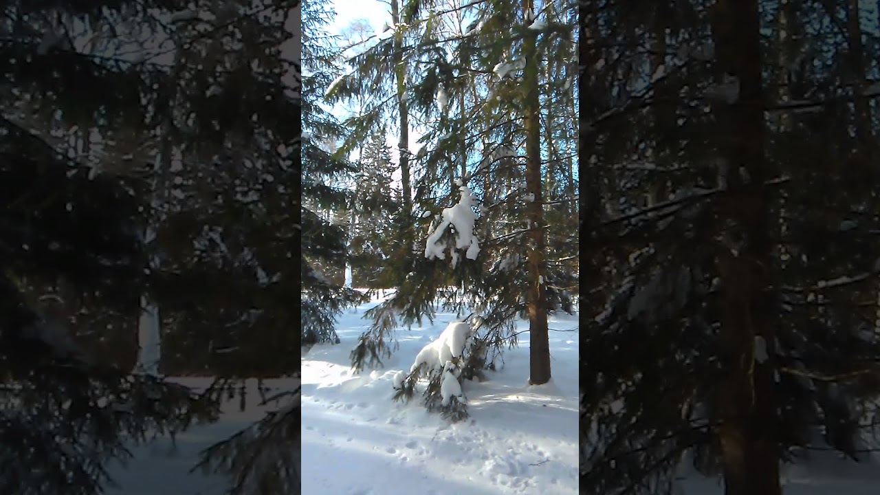 VID 20180223 143858 Заветная скамейка