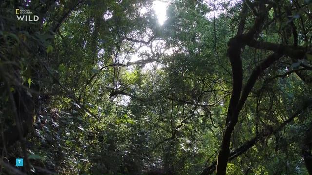 Дикие чудеса Португалии - 1 серия / Portugal's Wild Wonders