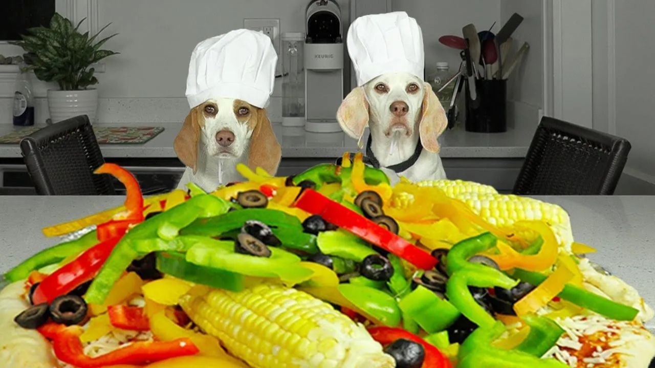 Собаки готовят гигантскую овощную пиццу — очень смешно! 🍕🐶