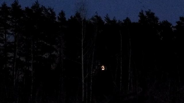 Восход луны над лесом/полнолуние/лес