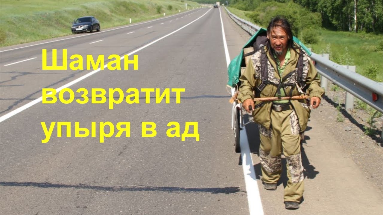 Шакалы тявкают Шаман идёт
