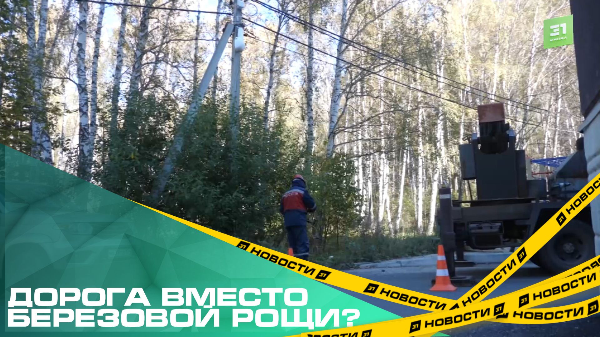 Дорога вместо березовой рощи? Жители многоэтажек на Хариса Юсупова пожаловались на вырубку леса