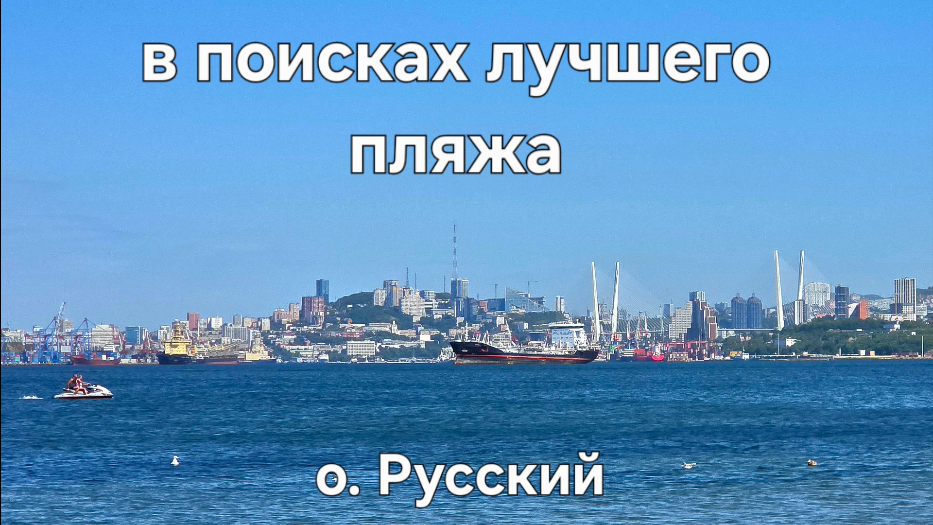 В разведку на городской пляж о.Русский. Азиатские браконьеры и трепанг