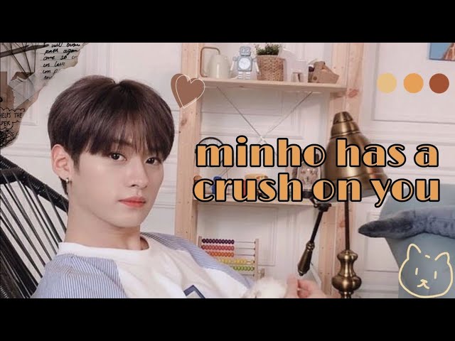 [Stray Kids] Минхо влюблён в тебя [перевод]