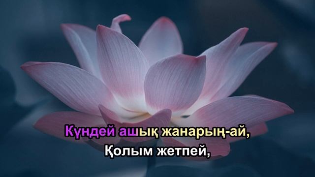НУРИКАМАЛ KARAOKE | МИНУС -1 тон (Жұбаныш Жексенұлы)