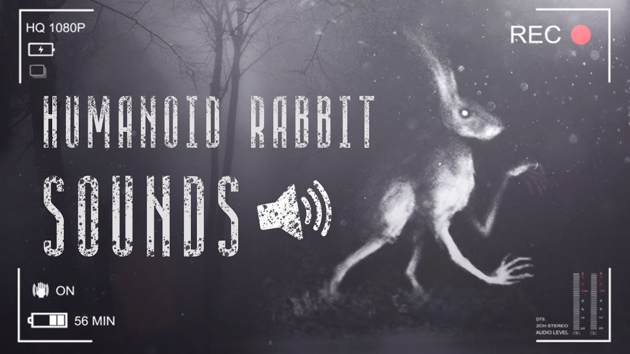 Humanoid Rabbit Sounds  Звуки Кролика Гуманоида  Ужасы Тревора Хендерсона