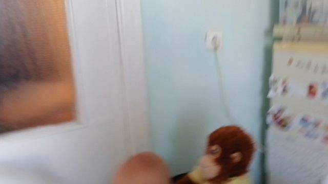 VID_20260930_154233.mp4