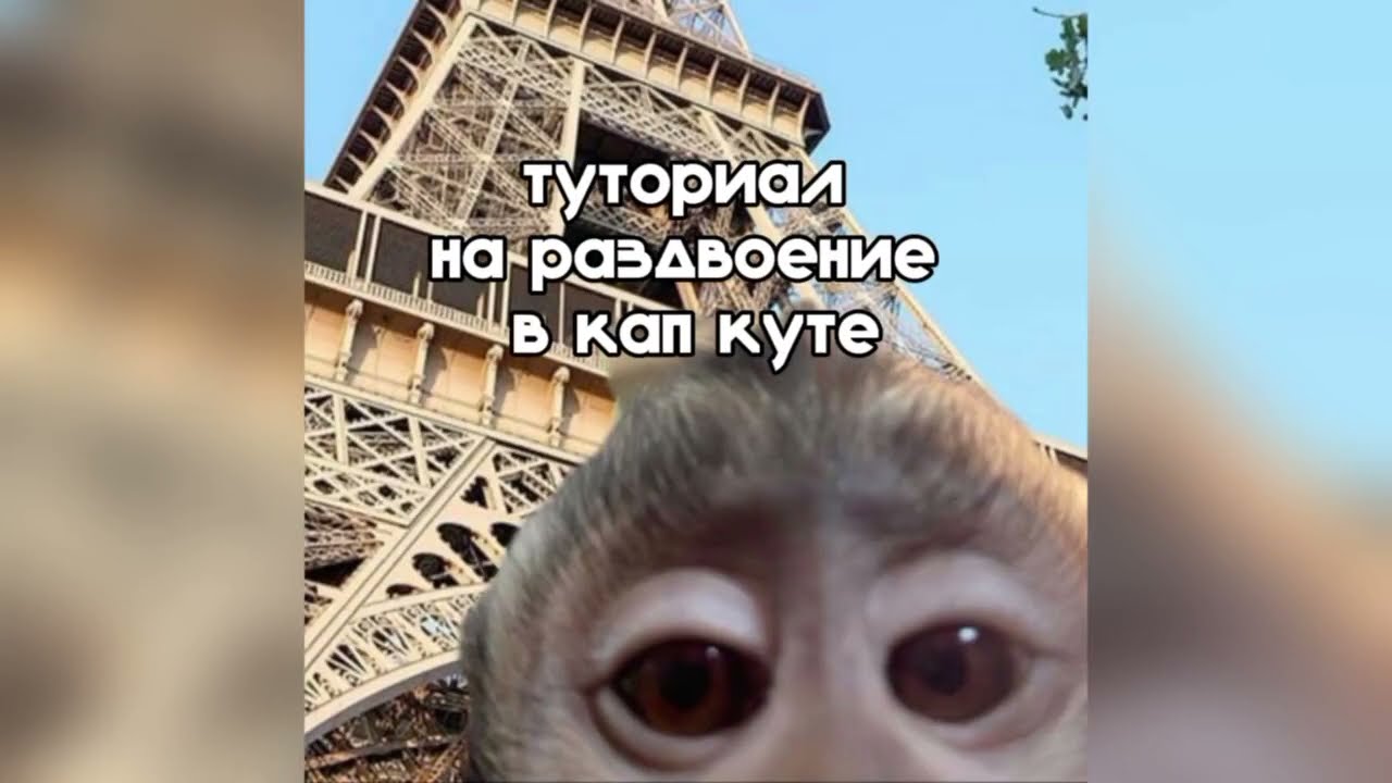 ТУТОРИАЛ на РАЗДВОЕНИЕ в КАП КУТЕ!