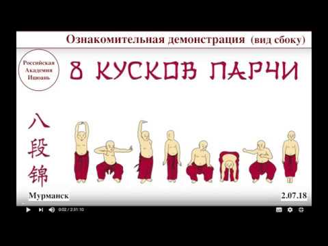 8 КУСКОВ ПАРЧИ (ОЗНАКОМИТЕЛЬНАЯ ДЕМОНСТРАЦИЯ - ВИД СБОКУ) 2.07.18