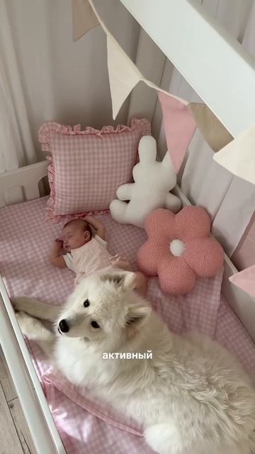 У двухмесячного ребёнка недвижимость лучше моей!