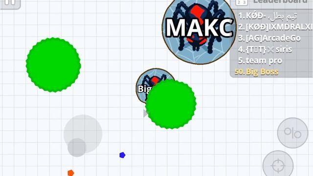 Играл в Agar.io хотел попасть в топ