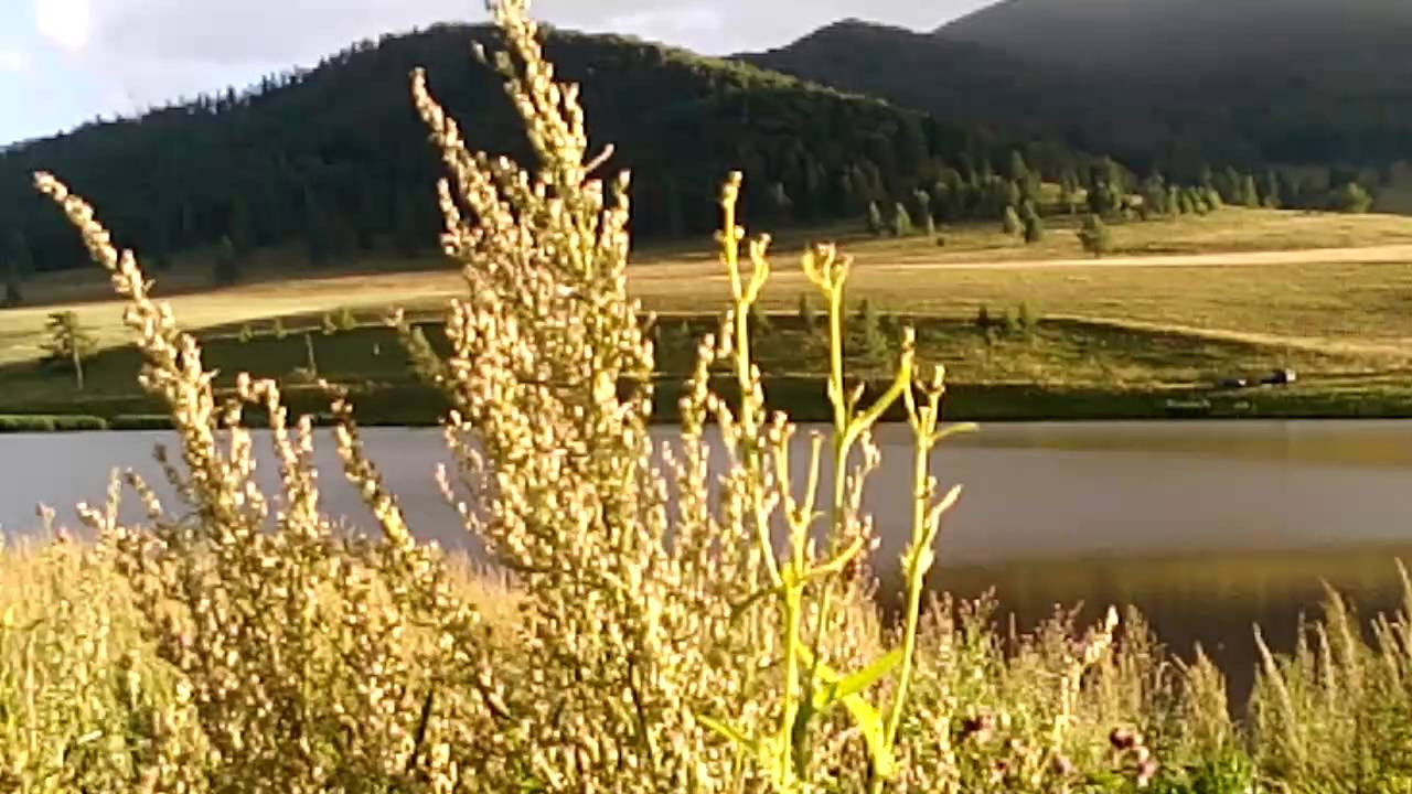 Вечная красота!!!