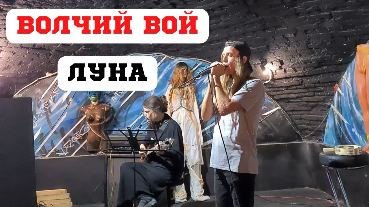 Волчий вой. Луна. Тамбов. 27.08.2022