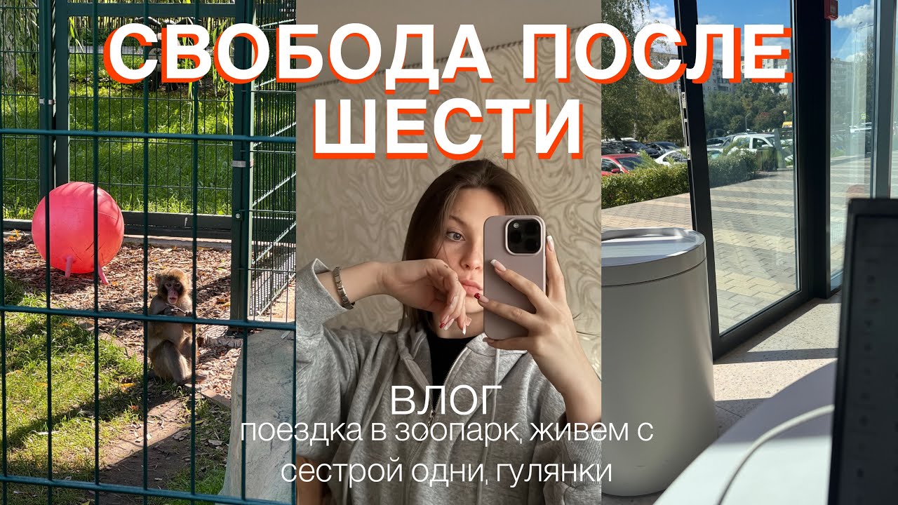 совмещаю график 5/2 и пытаюсь жить 🤯| первое сентября без учебы
