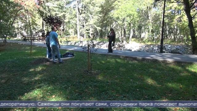 28.09.2026 Проект «Посади своё дерево в парке» набирает обороты в Южно-Сахалинске