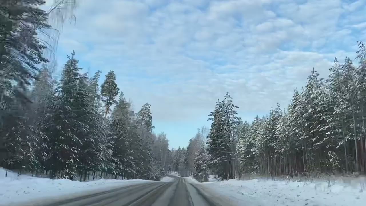 Зимняя дорога, зимний лес