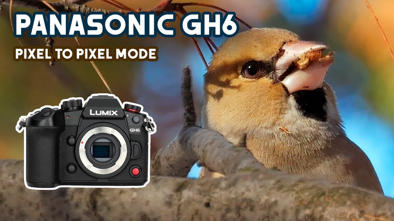 Panasonic Lumix GH6 250 Fps Pixel To Pixel Mode 4K Davinci Resolve AI Super Scale Plugin