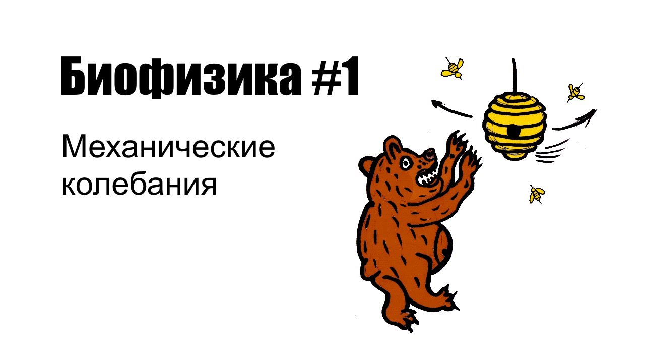Биофизика_1_Механические колебания