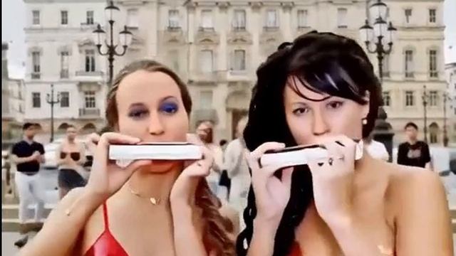 губная гармошка