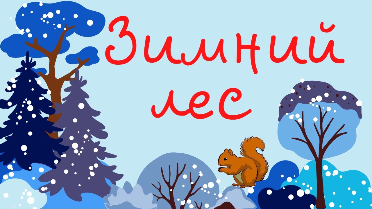 Зимний лес Красота зимней природы