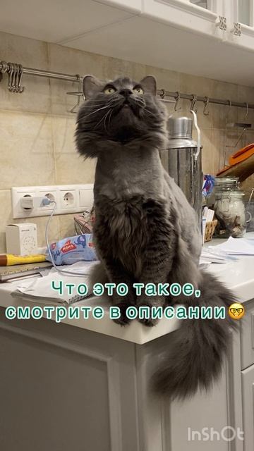 Наши знакомые незнакомцы