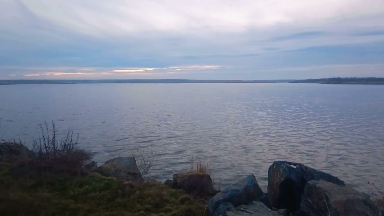 Ducks Are Screaming Very Loudly On Lake Before Sunset / Утки громко кричат на озере перед закатом +