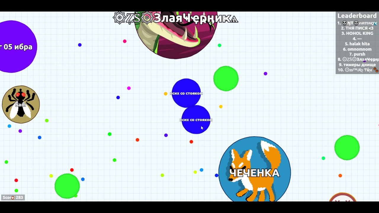 ЛУЧШИЙ ИГРОК В АГАРИО!