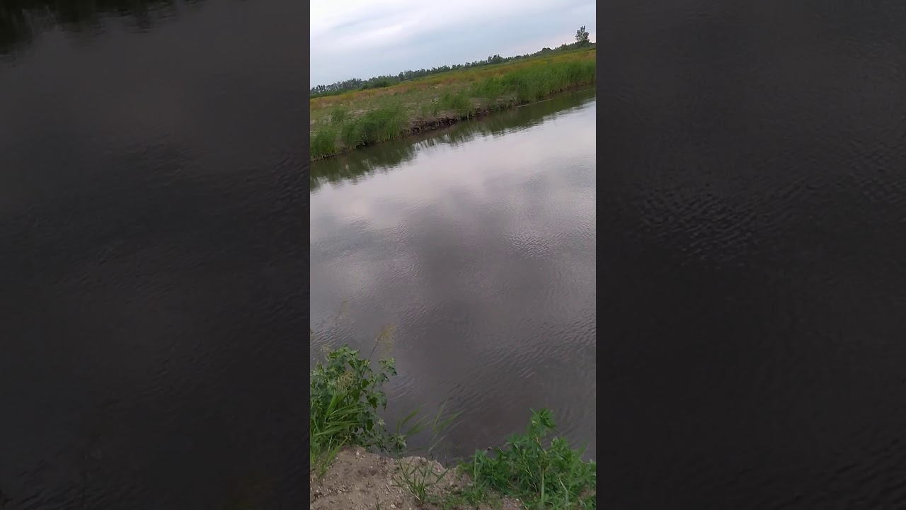 Встретил Бобра