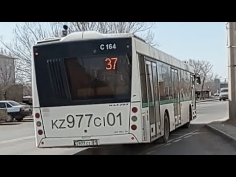 Поездка на автобусе МАЗ 203.016|37 маршрут|977 CI 01|город Астана