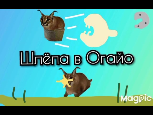 Шлёпа в Огайо ☠️🙀