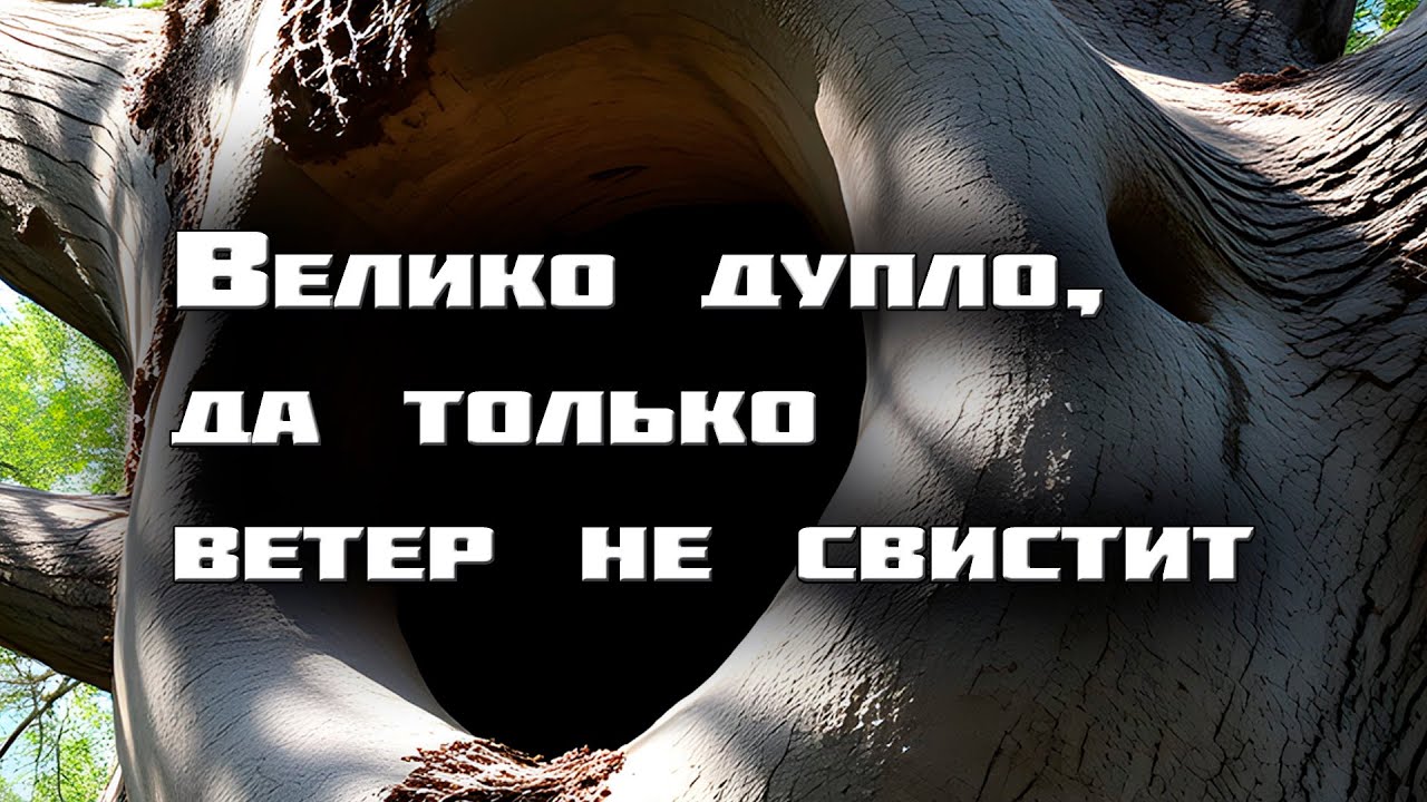 Велико дупло да только ветер не свистит