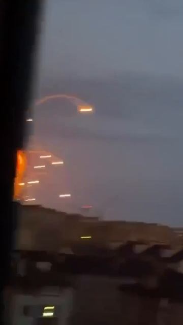 Герани будущее 2.0