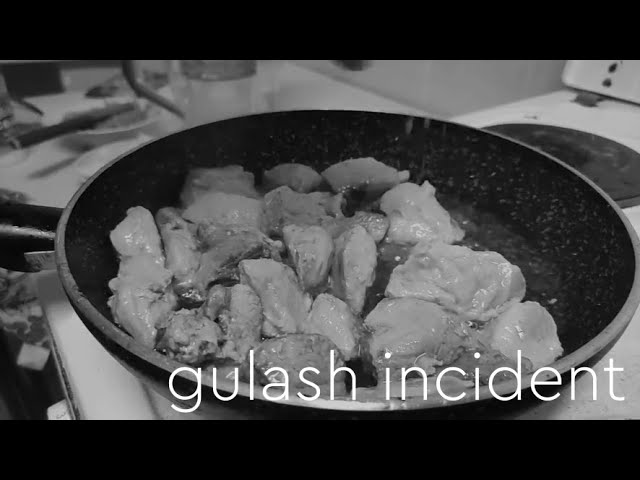 Gulash Incident / Part 1