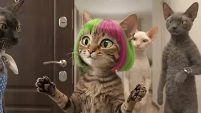 КотикИИ