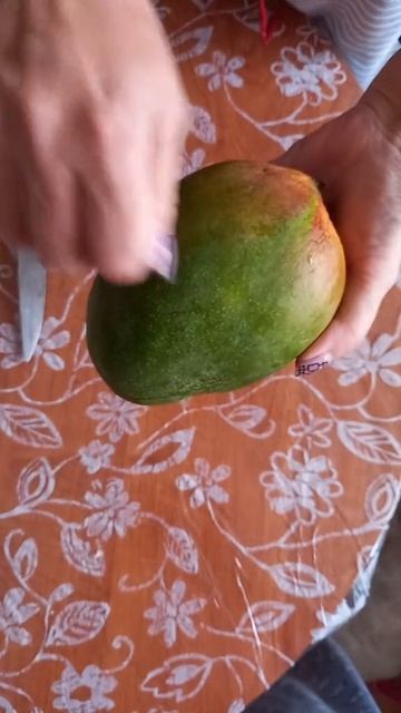 как вырастить манго