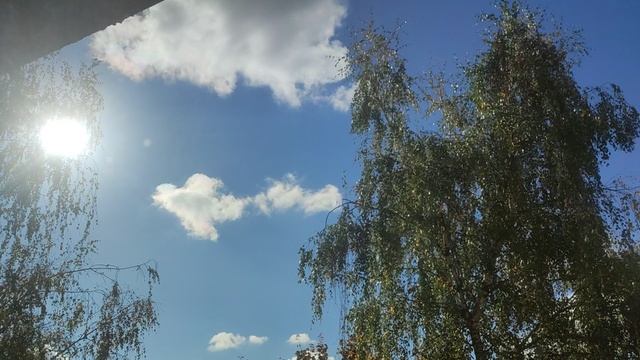СЕНСАЦИЯ прогноз погоды от волшебника оказался правдивый чем гидрометцентра они обещали дожди