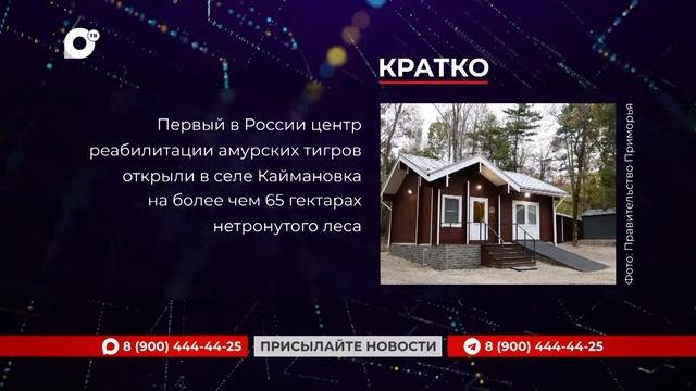 Кратко / 28.09.26
