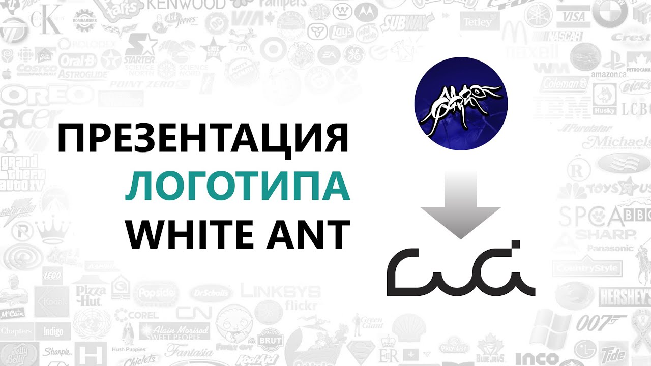 Презентация нового логотипа White Ant