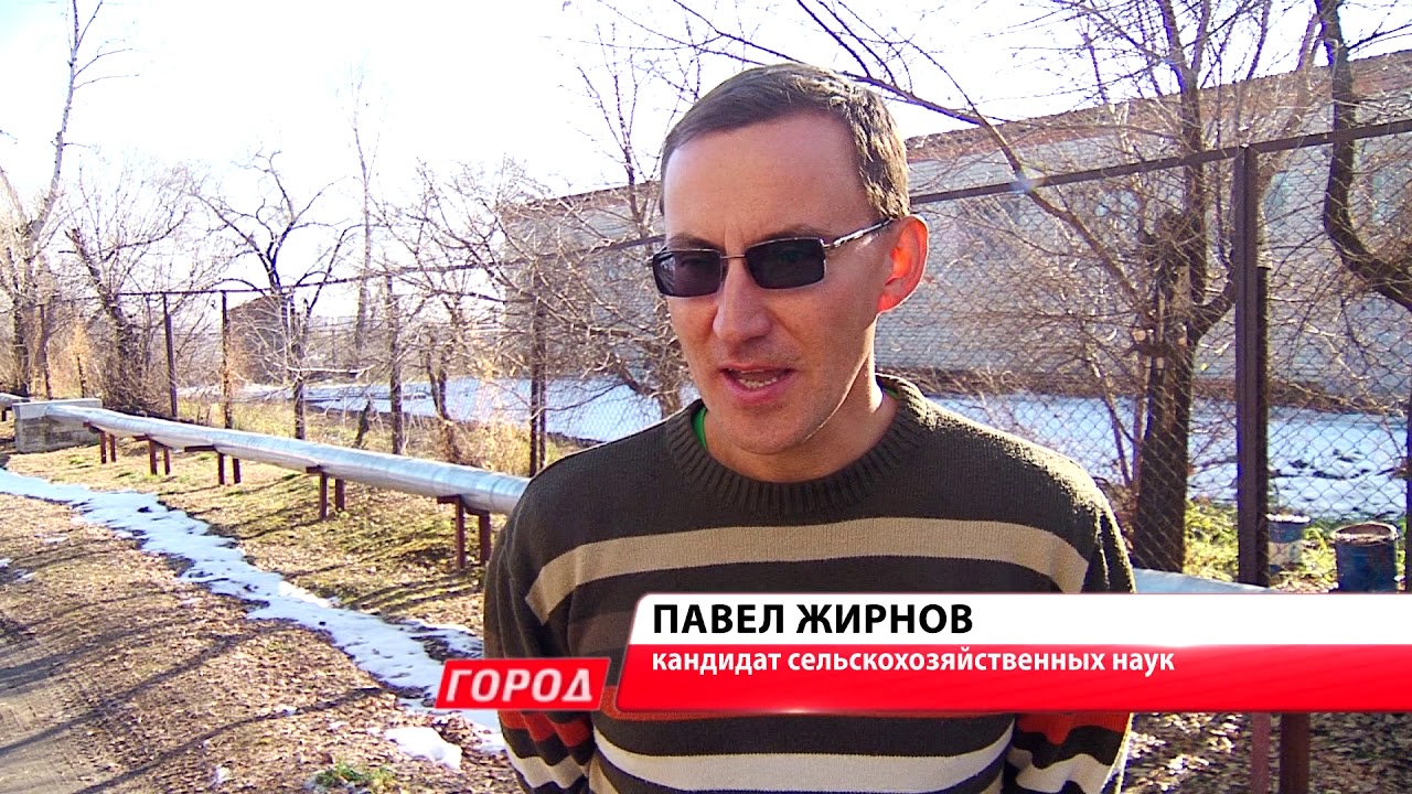 Благовещенцы заметили распустившиеся цветы