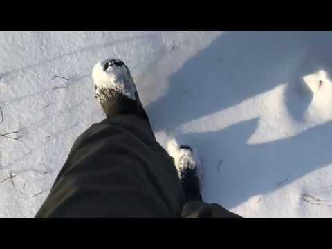 ASMR Walking Sounds Of Footsteps In The Snow Звуки Шагов По Снегу 4k