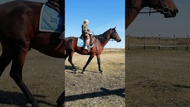 VID_20260927_134513.mp4