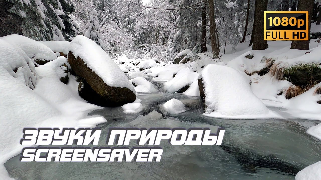 Живая природа - Река | Зима | Звуки природы | Звуки реки | Релаксация | Антистресс | Заставка ТВ