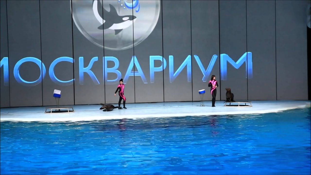 Премьера МУЛЬТПРОСВЕТА!